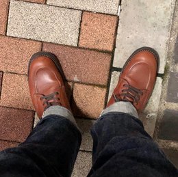 ホッピーは来週かな