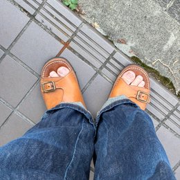 朝