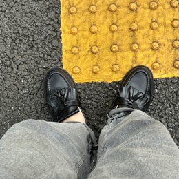 朝