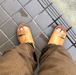 晴れた