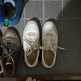朝