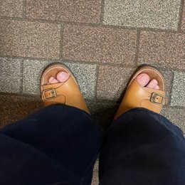 ゴミ出し間にあった