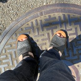 朝