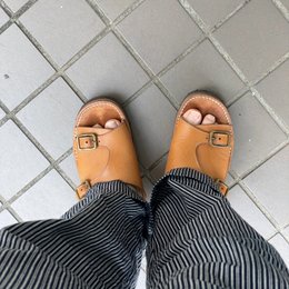 朝