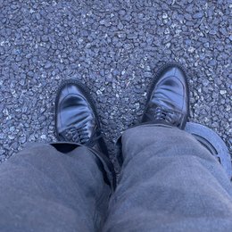 久しぶりだけどおもろ