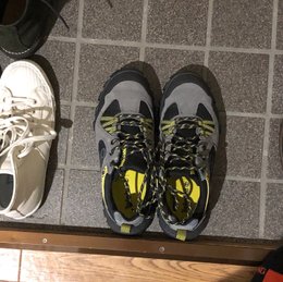 みんなヴァルヘイムやってる