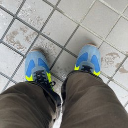朝