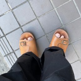 朝