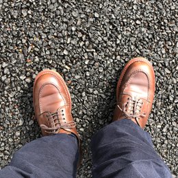 今日読み終わりたい