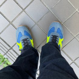 朝