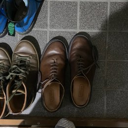 今日はやってた