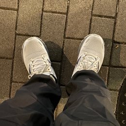 走ってきた
