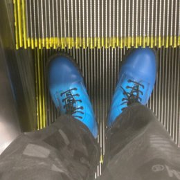 ペストルを買いたい