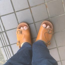 朝