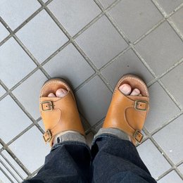 朝