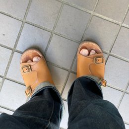 朝