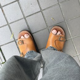 朝