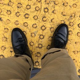 今週は天気悪いのか