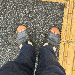 朝