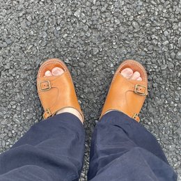 朝