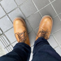 クリーニングに出した