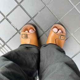 朝