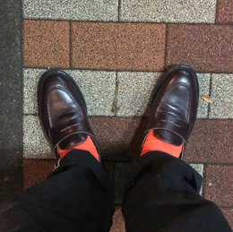 ゴミ出し終わった